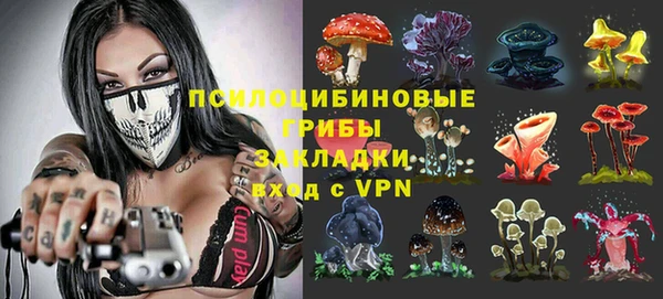 молекула духа Алексеевка