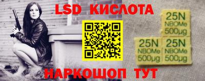 индика Кандалакша