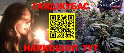 индика Кандалакша