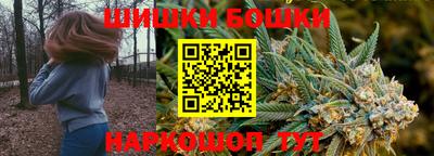 индика Кандалакша