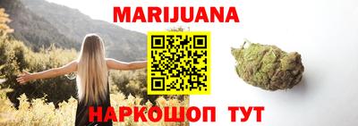 индика Кандалакша