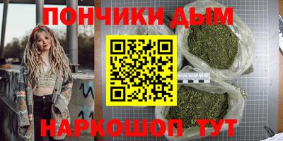 индика Кандалакша