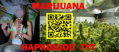 индика Кандалакша