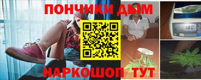 индика Кандалакша