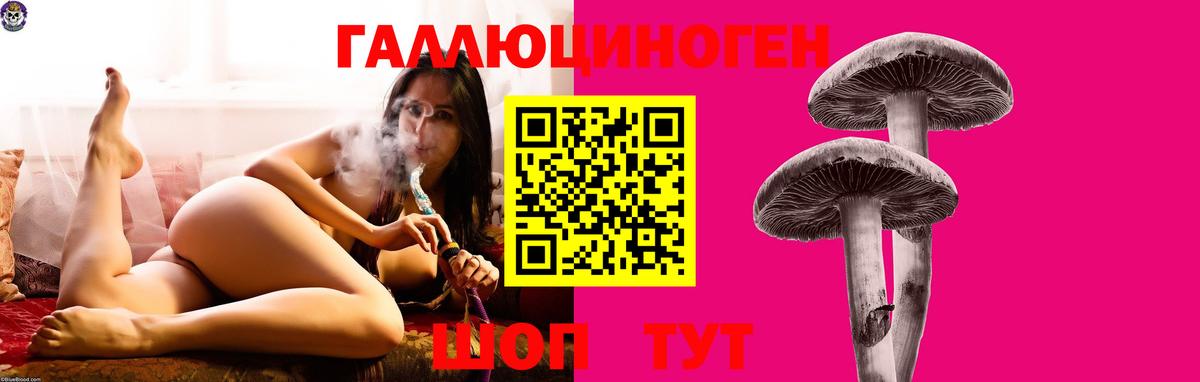 Уварово  Псилоцибиновые грибы Psilocybine cubensis  Вход с VPN 